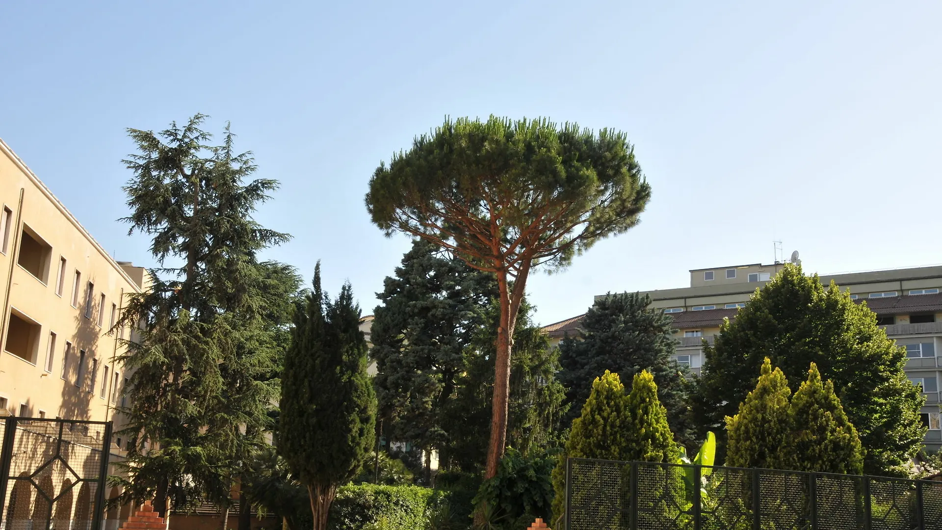 Alessandro III Rome